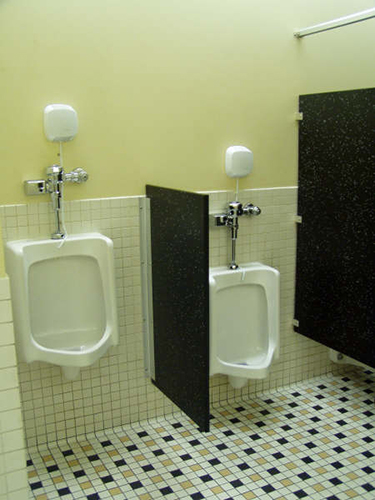 Barranger Urinal Screen